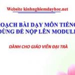 Kế hoạch bài dạy môn Tiếng Việt dùng cho giáo viên đại trà