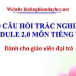 20 câu trắc nghiệm môn Tiếng Việt Module 2 dành cho GV đại trà