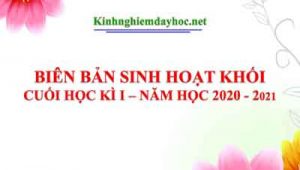 Bien Ban Sinh Hoat Khoi Hki