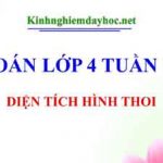 Dien Tich Hinh Thoi