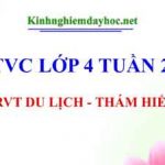MRVT Du Lịch – Thám Hiểm. LTVC lớp 4 tuần 29