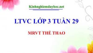Mrvt The Thao
