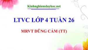 Mrvt Dung Cam Tt