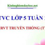 MRVT Truyền thống. LTVC lớp 5 tuần 27
