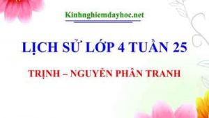 Trinh Nguyen Phan Tranh