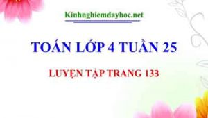 Luyen Tap Trang 133