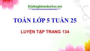 Luyen Tap Trang 134