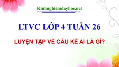 Có những bài tập LTVC nào thường xuất hiện trong sách giáo khoa lớp 4?
