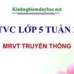 MRVT Truyền Thống. LTVC lớp 5 tuần 26
