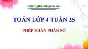 Phep Nhan Phan So
