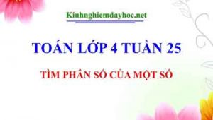 Tim Phan So