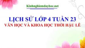 Van Hoc Thoi Hau Le