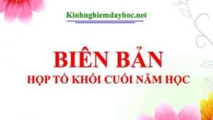 Bien Ban Hop To Khoi Cuoi N