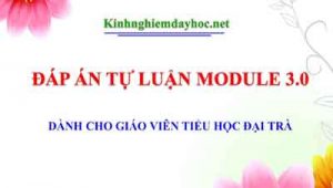 Dap An Tu Luan Module 3.0