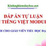 Đáp án tự luận Môn Tiếng Việt Module 3.0