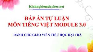 Dap An Tu Luan Mon Tieng Vi