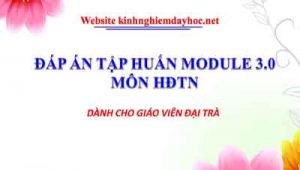 Hdtn