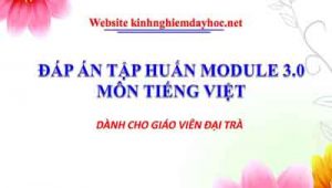 Đáp án môn Tiếng Việt tập huấn Module 3.0