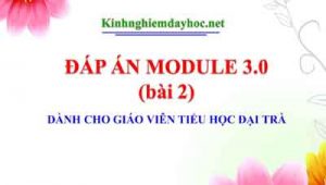 Dap An Module 3.0