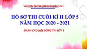 Ho So Thi Lop 5