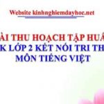 Bài thu hoạch tập huấn sách Kết nối lớp 2 môn Tiếng Việt