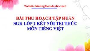 Bài thu hoạch tập huấn sách Kết nối lớp 2 môn Tiếng Việt.
