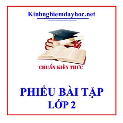 Phieu Bai Tap Lop 2
