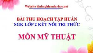 Tap Huan Sgk My Thuat