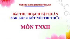 Tap Huan Sgk Tnxh