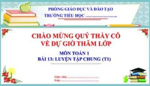 Bai 13 Luyen Tap Chung (t1)