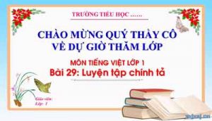 Bai 29 Luyen Tap Chinh Ta