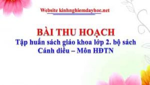 Bai Thu Hoach Hdtn