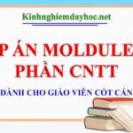 Đáp án CNTT Module 4.0 dành cho giáo viên cốt cán