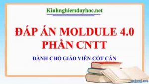 Dap An Cntt Module 4.0