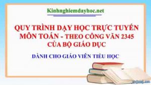 Day Truc Tuyen Mon Toan