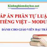 Đáp án tự luận môn Tiếng Việt Module 4