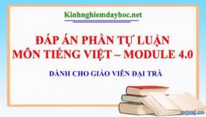 DAP AN MO DULE 4 TIENG VIET