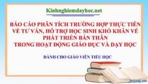 Bao Cao Tu Van Hoc Sinh