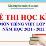 Đề thi học kì 1 môn Tiếng Việt lớp 1. Năm học 2021 – 2022