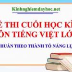 Đề thi lớp 2 cuối học kì II môn Tiếng Việt. Năm học 2021 – 2022