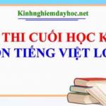 Đề thi học kì II môn Tiếng Việt lớp 1. Năm học 2021 – 2022