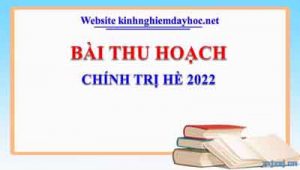 Bai Thu Hoach