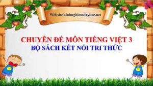 Chuyen De Tieng Viet 3