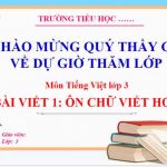 On Chu Viet Hoa