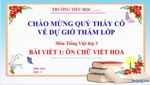 On Chu Viet Hoa