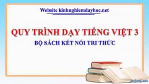 Quy Trinh Day Tv3
