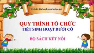 Quy Trinh To Chuc Shdc