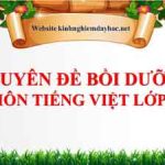 Chuyên đề bồi dưỡng môn Tiếng Việt lớp 4