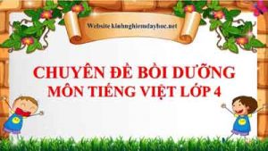Cuyen De Tieng Viet 4