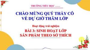 Shl San Pham Theo So Thich